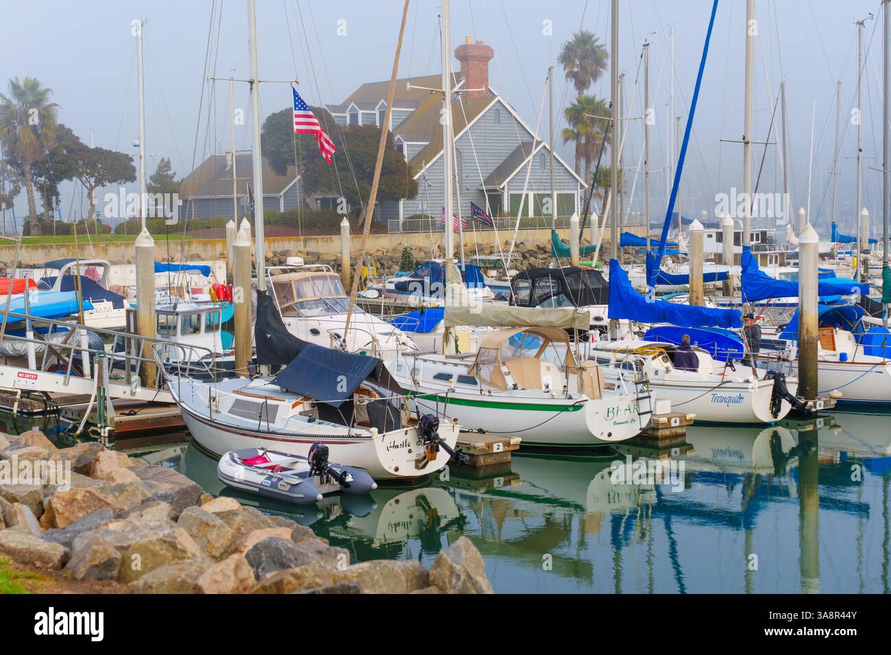 Oceanside, Kalifornien - 3. Januar 2025: Beschauliche Yachthafenszene mit zahlreichen Booten, die in ruhigem Wasser unter einem nebeligen Himmel mit Palmen und Palmen vertäut sind Stockfoto