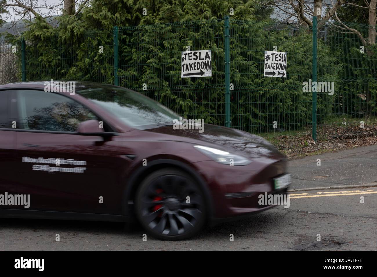 Glasgow, Großbritannien, 29. März 2025. Demonstranten halten Schilder an den Toren eines Tesla Showrooms, um gegen Elon Musk zu protestieren, an einem globalen Aktionstag der Basisbewegung ÔTesla TakedownÕ, am 29. März 2025 in Glasgow, Schottland. Foto: Jeremy Sutton-Hibbert/ Alamy Live News. Stockfoto
