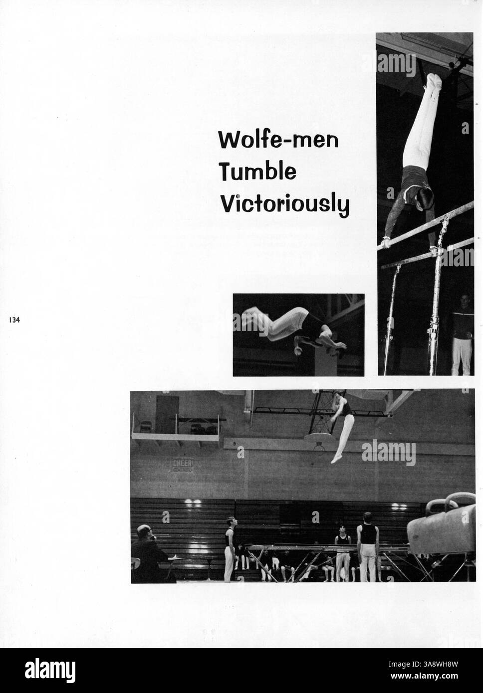 Dieses Jahrbuch dokumentiert die akademischen und außerschulischen Aktivitäten der Lincoln High School im Jahr 1969 und enthält auch Schüler- und Lehrerprofile. Stockfoto