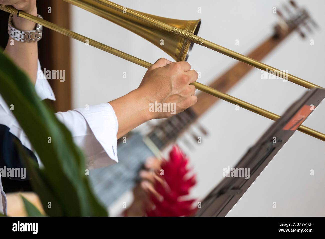Die Ministriles of New Granada sind ein musikalisches Ensemble, das sich auf die Aufführung alter Musik spezialisiert hat, insbesondere aus der Renaissance und dem Barock Stockfoto