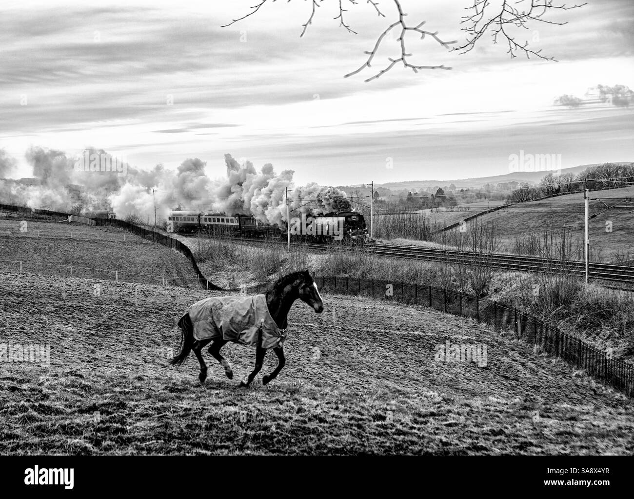 Dampflokomotiven, die auf der Hauptstrecke der Westküste einen Hügel hinauf fahren und Rauch wehen. Stockfoto