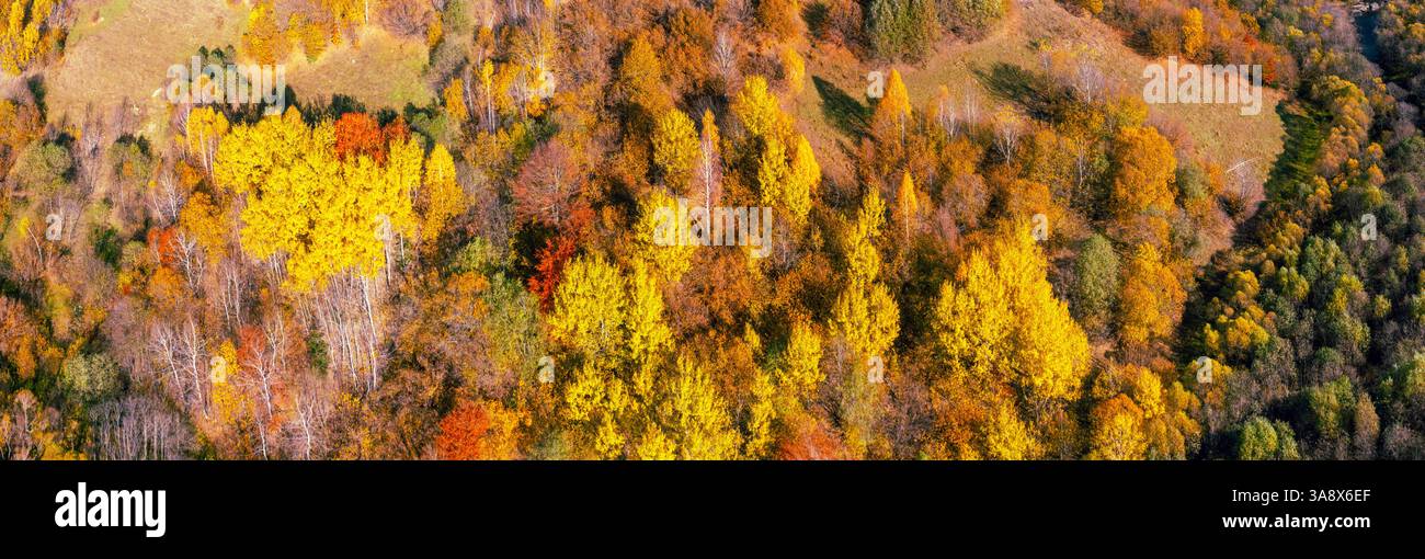 Blick auf die Berghänge mit bunten Bäumen im Herbst. Horizontales Banner Stockfoto