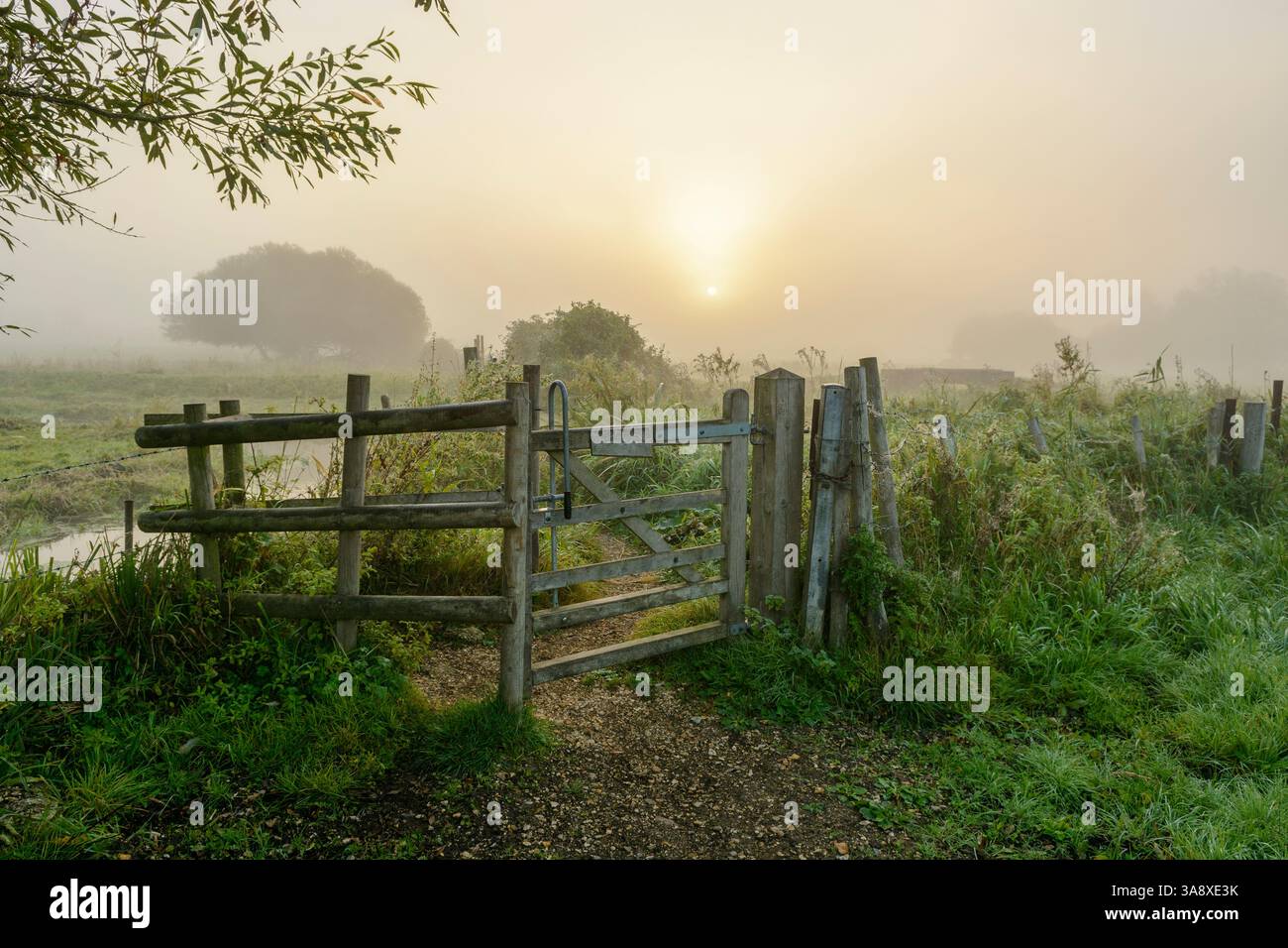 Sonnenaufgang am nebeligen Morgen auf dem Land mit Tor am Fußweg im September, Großbritannien Stockfoto