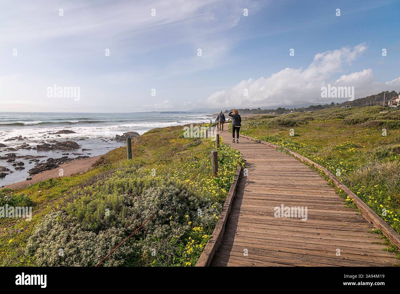 Cambria, CA, USA: 27. März 2025: Besucher spazieren entlang des wunderschönen Moonstone Beach Boardwalk in Cambria, CA. Stockfoto