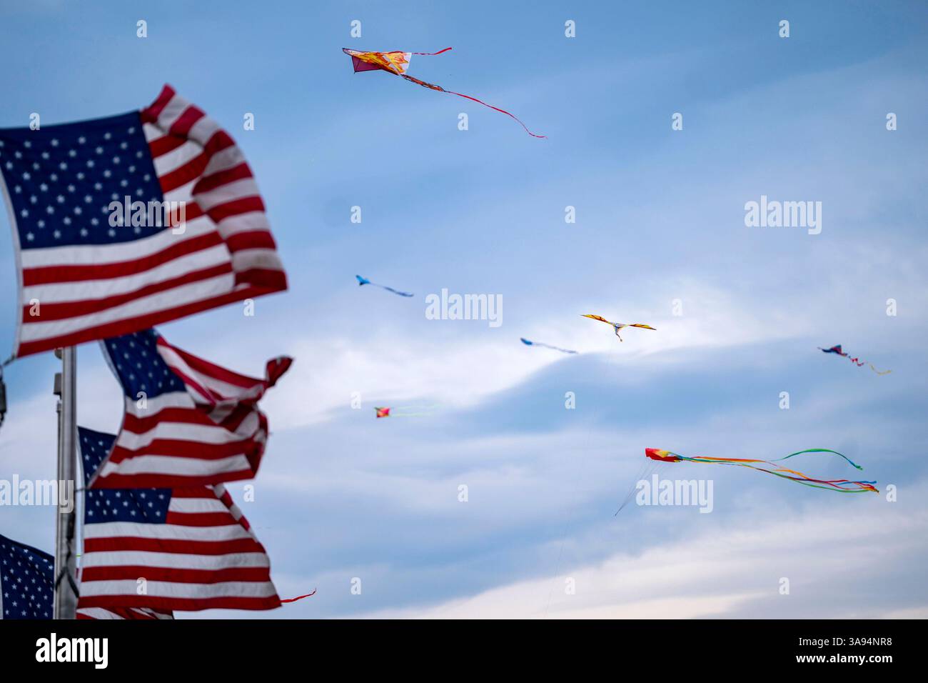 Washington, Usa. März 2025. Fahnen und Drachen fliegen während des Blossom Kite Festivals, einer Veranstaltung im Rahmen des National Cherry Blossom Festivals, in der National Mall in Washington, DC am Samstag, den 29. März 2025. Gestern haben die Kirschblüten ihren Höhepunkt erreicht, was die National Park Services definiert, wenn 70 % der Yoshino Kirschblüten geöffnet haben. Foto: Bonnie Cash/UPI Credit: UPI/Alamy Live News Stockfoto