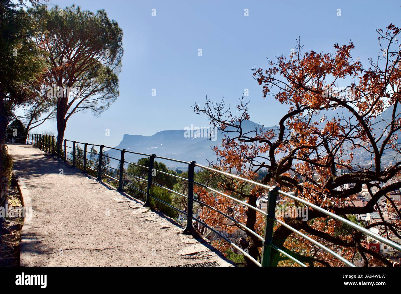 Bergaussichtspunkt mit Herbstbaum und Eisengeländer über Meran, Südtirol, Italien Stockfoto
