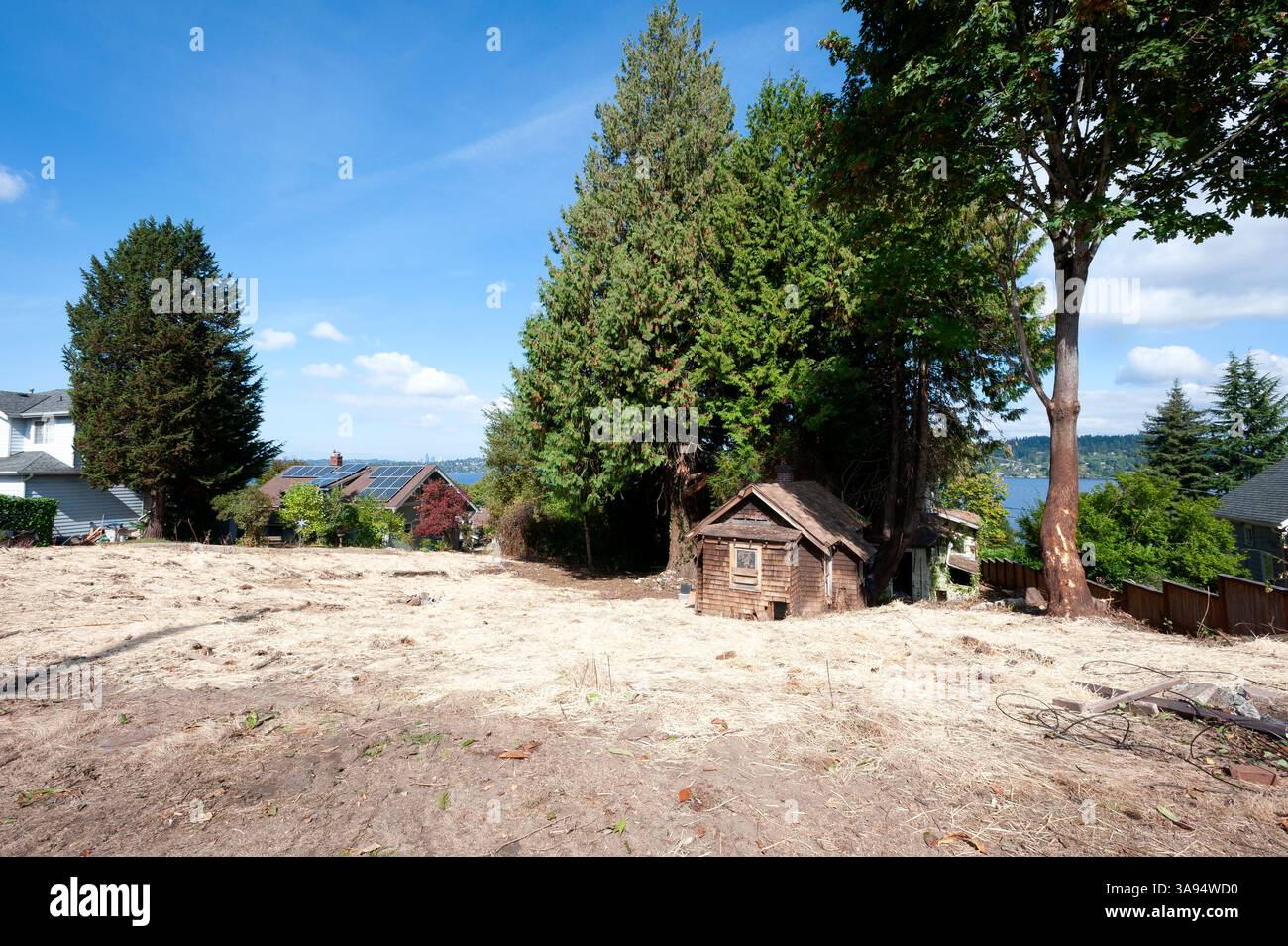 USA, Seattle, Washington State. Alte Hütte nach der Räumung des Grundstücks aufgedeckt. Dieses Gebiet war einst Teil eines Holzfällergebietes und versorgte ein nahegelegenes Werk. Stockfoto