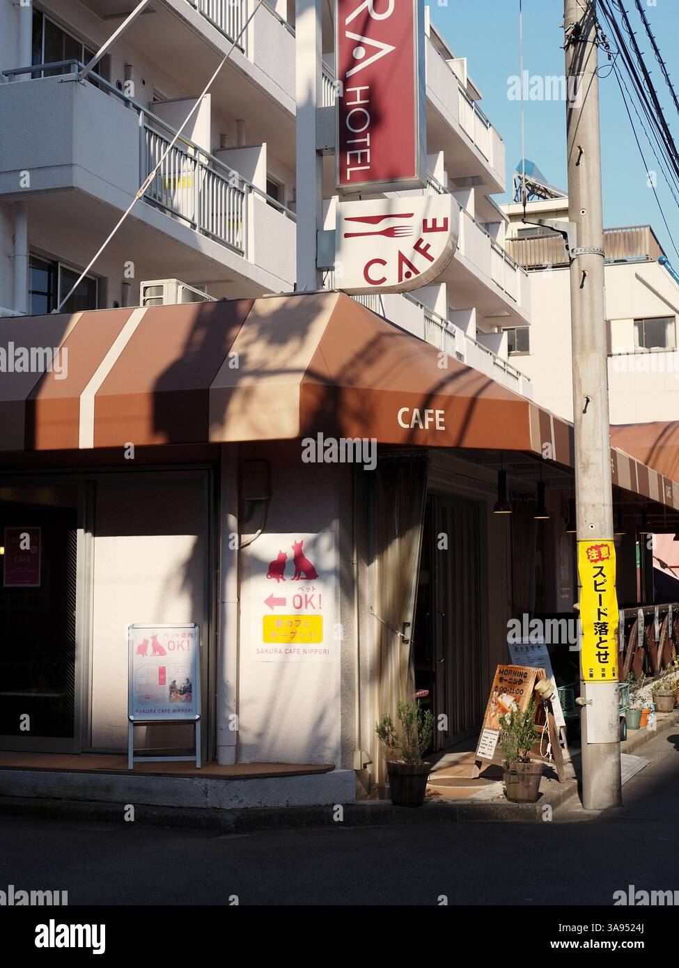 Frühlingssonne auf einer Backstreet in Tokios Altstadt Stockfoto