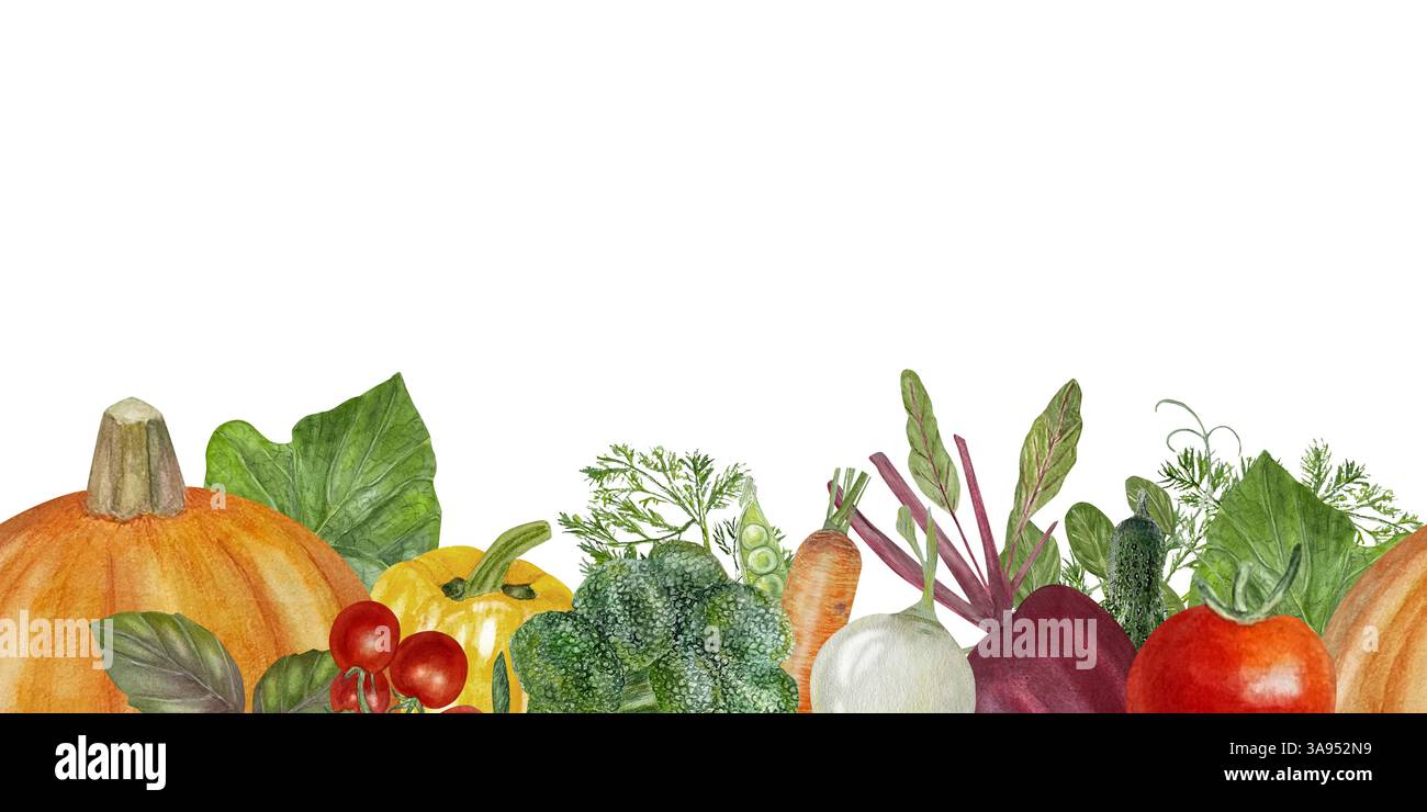 Aquarellbanner für die Ernte von Herbst-Gemüse. Vorlage für Bauernpflanzen mit Kopierraum für rustikale Bauerndesigns. Stockfoto