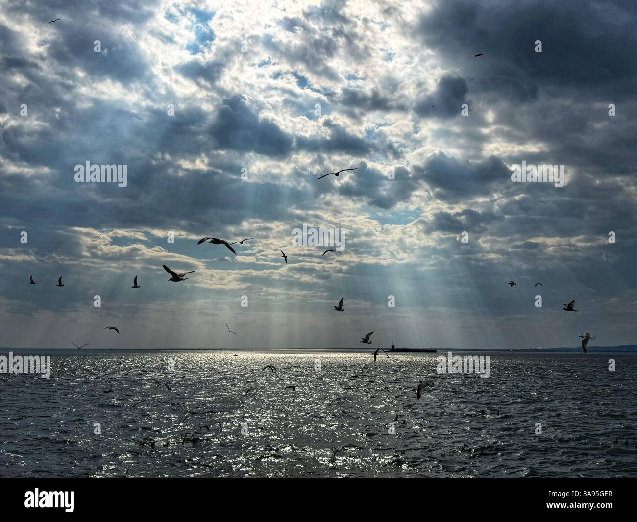 Vögel, die über Wasser fliegen, mit Sonnenlicht, das durch Wolken strömt Stockfoto