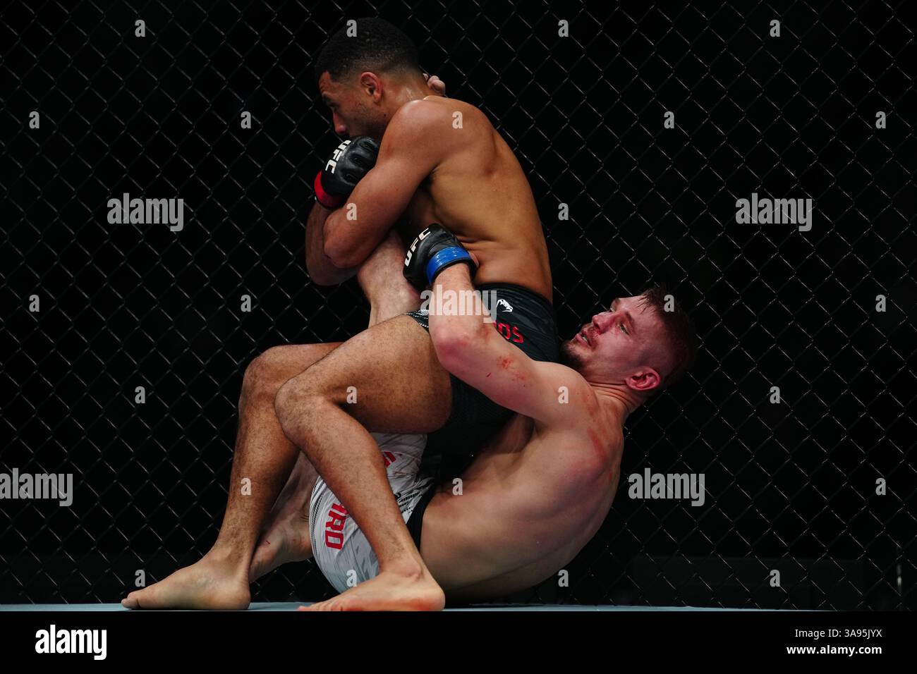 Mexiko-Stadt, Mexiko, Usa. März 2025. MEXIKO-STADT, MEXIKO - 29. MÄRZ: Marquel Mederos und Austin Hubbard treten in das Oktagon für einen 3-Runden-Kampf bei der UFC Fight Night - Moreno vs Erceg in der Arena CDMX am 29. März 2025 in Mexiko-Stadt, Mexiko (Foto: Louis Grasse/PxImages) Credit: PX Images/Alamy Live News Stockfoto