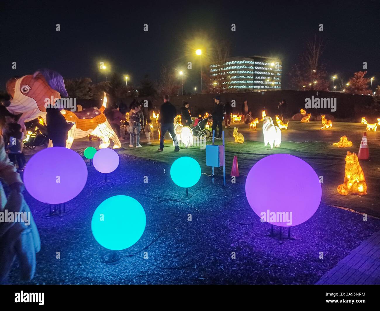 Toronto, ON, Kanada – 18. Oktober 2024: Die massiven Illumi-Lichtstatuen und -Installationen werden auf dem Lichtfestival in Toronto vorgestellt. Stockfoto Toronto, ON, Kanada – 18. Oktober 2024: Die massiven Illumi-Lichtstatuen und -Installationen werden auf dem Lichtfestival in Toronto vorgestellt. Stockfoto