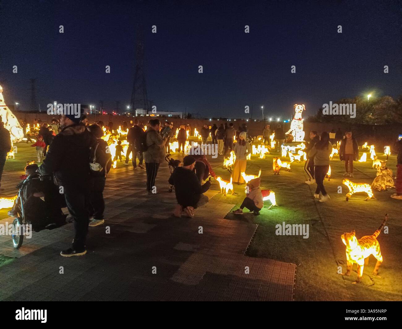 Toronto, ON, Kanada – 18. Oktober 2024: Die massiven Illumi-Lichtstatuen und -Installationen werden auf dem Lichtfestival in Toronto vorgestellt. Stockfoto Toronto, ON, Kanada – 18. Oktober 2024: Die massiven Illumi-Lichtstatuen und -Installationen werden auf dem Lichtfestival in Toronto vorgestellt. Stockfoto