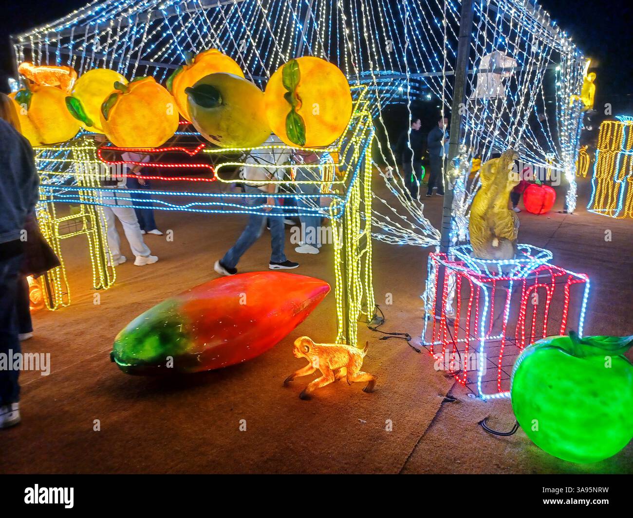Toronto, ON, Kanada – 18. Oktober 2024: Die massiven Illumi-Lichtstatuen und -Installationen werden auf dem Lichtfestival in Toronto vorgestellt. Stockfoto Toronto, ON, Kanada – 18. Oktober 2024: Die massiven Illumi-Lichtstatuen und -Installationen werden auf dem Lichtfestival in Toronto vorgestellt. Stockfoto