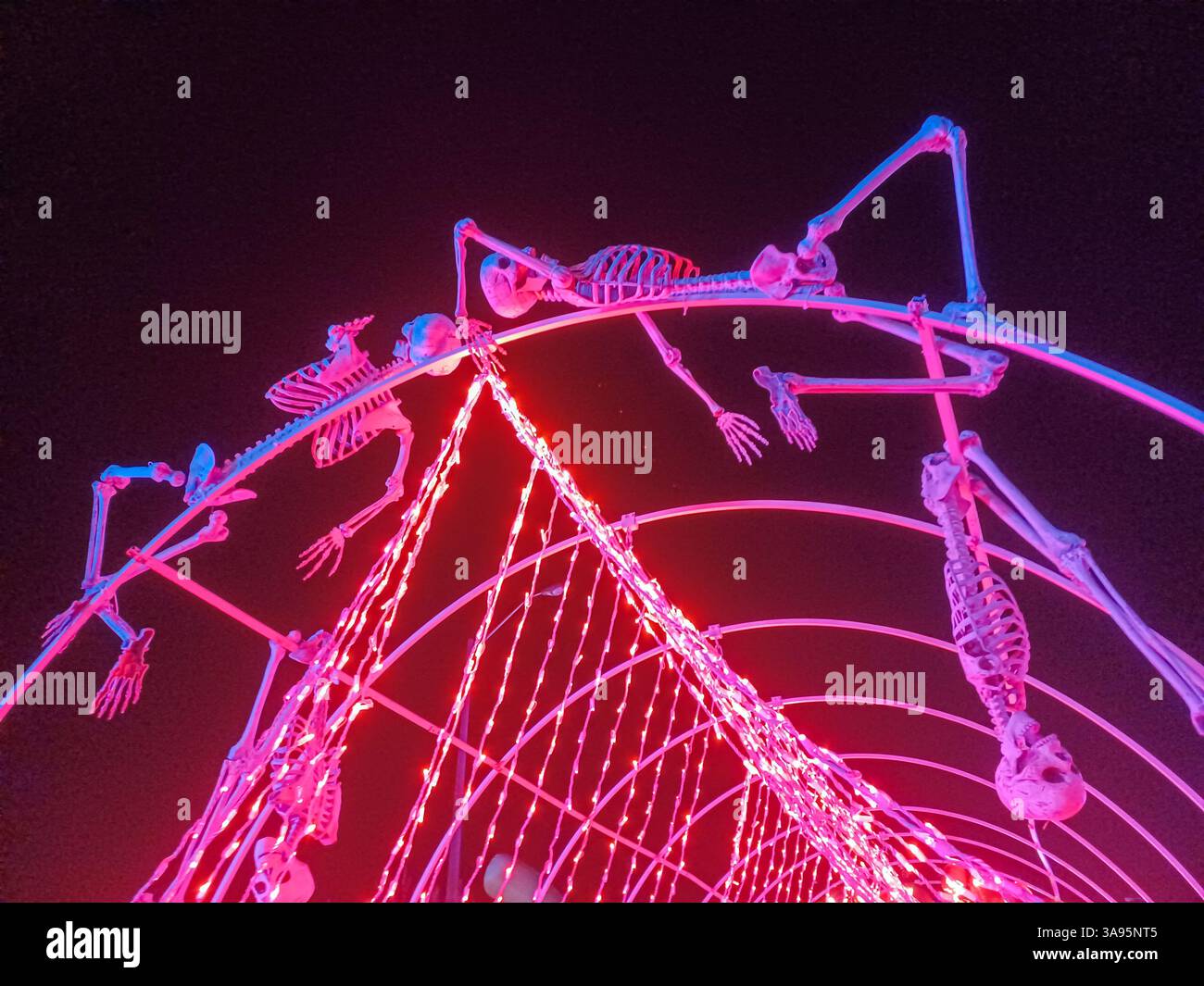 Toronto, ON, Kanada – 18. Oktober 2024: Die massiven Illumi-Lichtstatuen und -Installationen werden auf dem Lichtfestival in Toronto vorgestellt. Stockfoto Toronto, ON, Kanada – 18. Oktober 2024: Die massiven Illumi-Lichtstatuen und -Installationen werden auf dem Lichtfestival in Toronto vorgestellt. Stockfoto