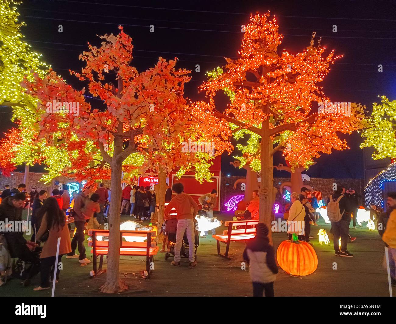 Toronto, ON, Kanada – 18. Oktober 2024: Die massiven Illumi-Lichtstatuen und -Installationen werden auf dem Lichtfestival in Toronto vorgestellt. Stockfoto Toronto, ON, Kanada – 18. Oktober 2024: Die massiven Illumi-Lichtstatuen und -Installationen werden auf dem Lichtfestival in Toronto vorgestellt. Stockfoto