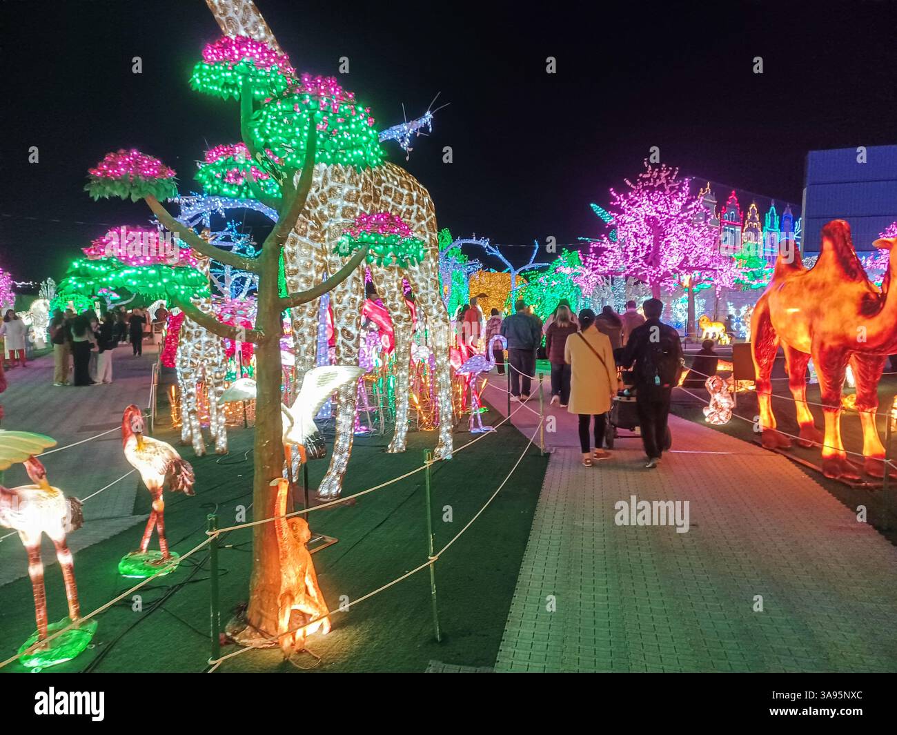 Toronto, ON, Kanada – 18. Oktober 2024: Die massiven Illumi-Lichtstatuen und -Installationen werden auf dem Lichtfestival in Toronto vorgestellt. Stockfoto Toronto, ON, Kanada – 18. Oktober 2024: Die massiven Illumi-Lichtstatuen und -Installationen werden auf dem Lichtfestival in Toronto vorgestellt. Stockfoto
