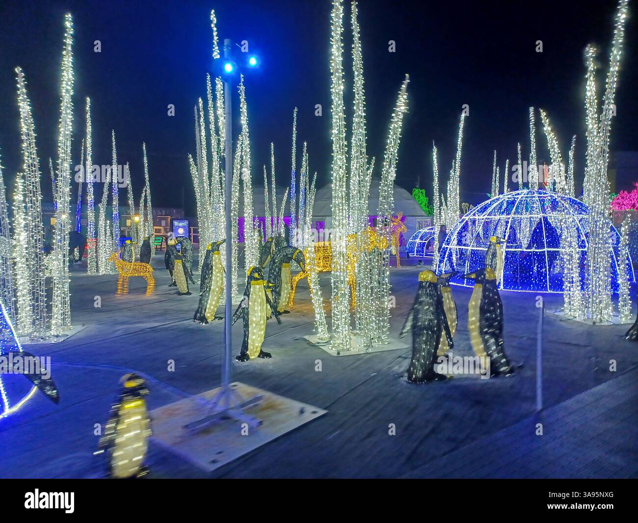 Toronto, ON, Kanada – 18. Oktober 2024: Die massiven Illumi-Lichtstatuen und -Installationen werden auf dem Lichtfestival in Toronto vorgestellt. Stockfoto Toronto, ON, Kanada – 18. Oktober 2024: Die massiven Illumi-Lichtstatuen und -Installationen werden auf dem Lichtfestival in Toronto vorgestellt. Stockfoto