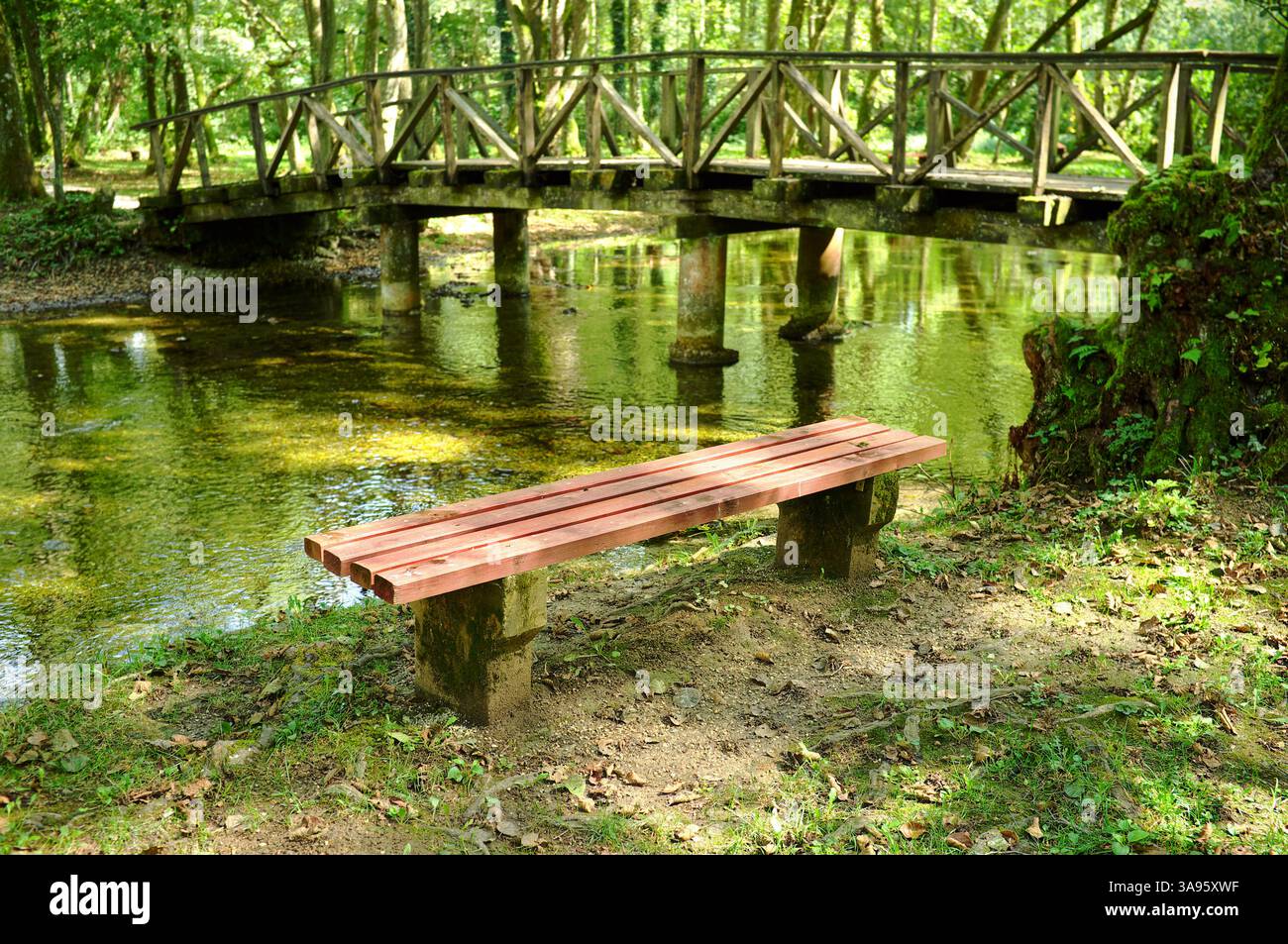Bank entlang des Quellwassers mit verschwommener kleiner Brücke im Park des Flusses Bosna, Sarajevo, Bosnien und Herzegowina Stockfoto