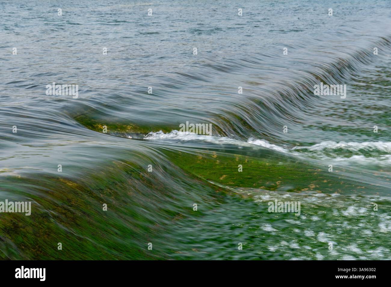 Emerald Ripple Effect: Abstrakte Wasseroberfläche mit tanzenden Algenmustern – Hypnotic Nature Textures in Motion Stockfoto