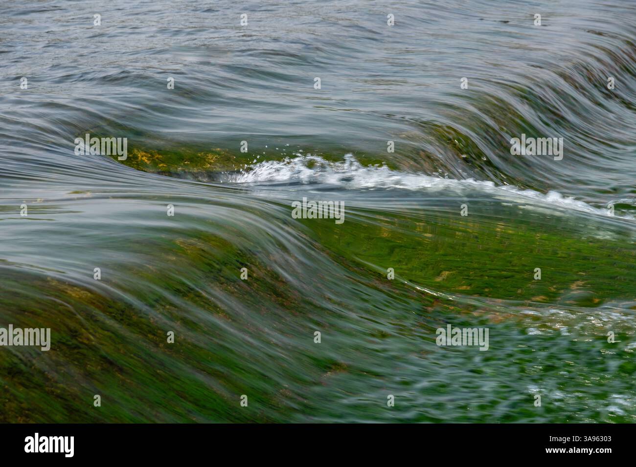 Emerald Ripple Effect: Abstrakte Wasseroberfläche mit tanzenden Algenmustern – Hypnotic Nature Textures in Motion Stockfoto
