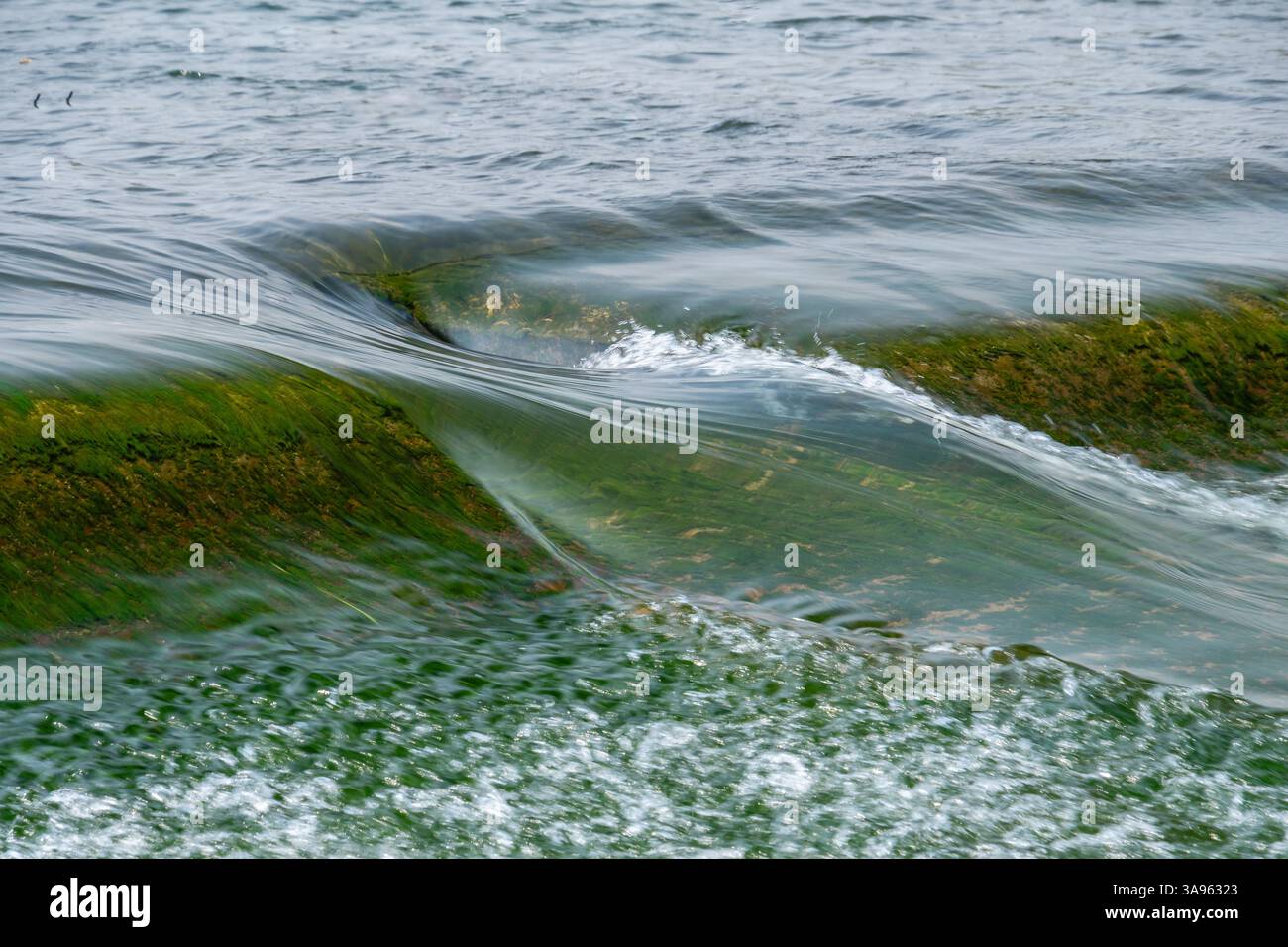 Emerald Ripple Effect: Abstrakte Wasseroberfläche mit tanzenden Algenmustern – Hypnotic Nature Textures in Motion Stockfoto