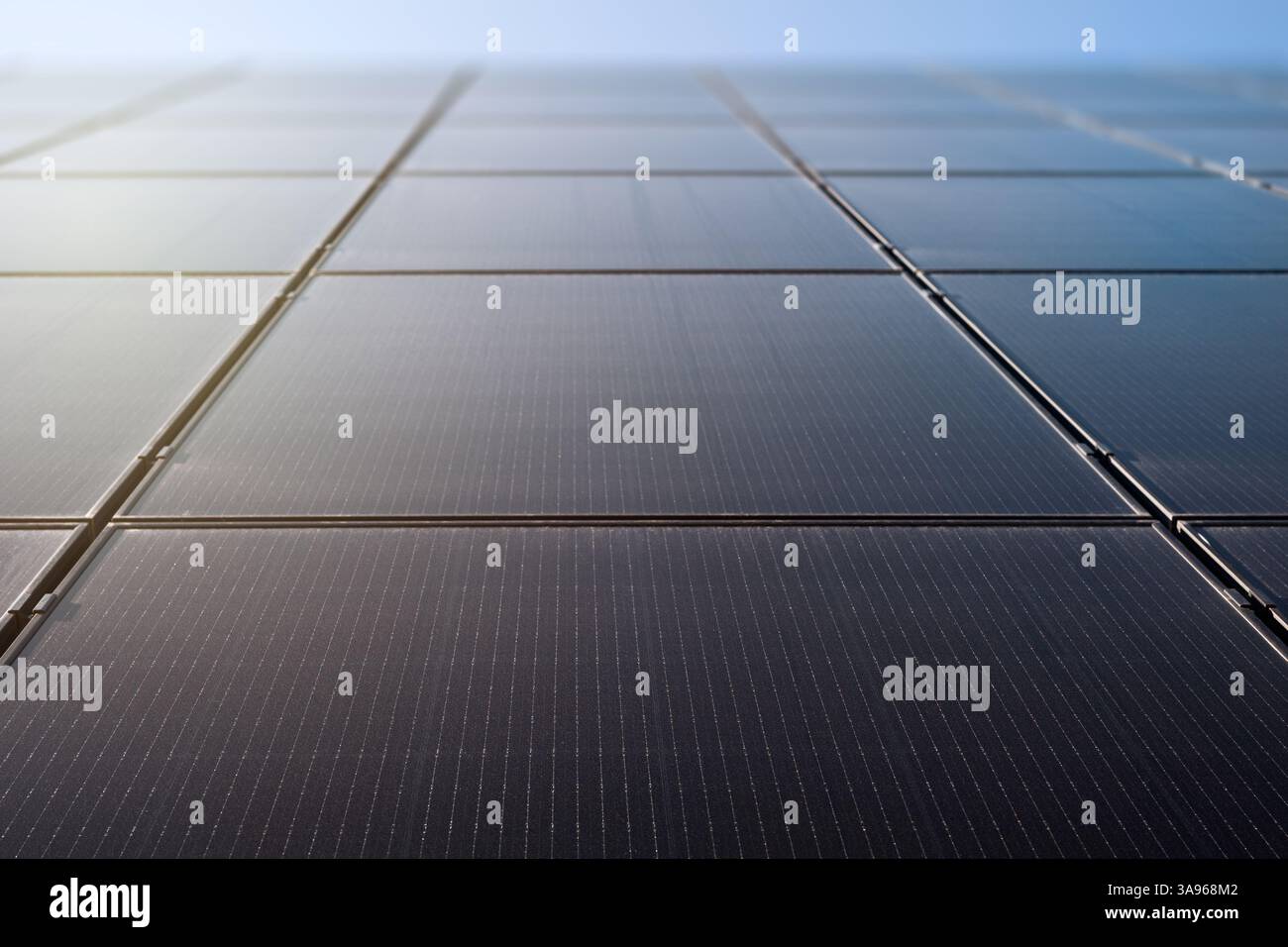 Solarpaneele Photovoltaik-Kraftwerk. Alternative Stromquelle. Umweltfreundliche und saubere Energie Stockfoto