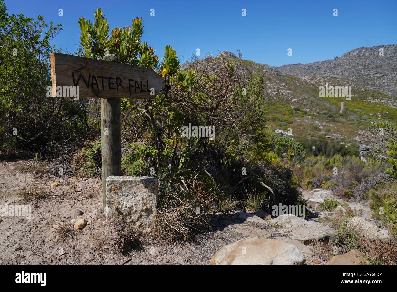 Wandern in Kapstadt, Südafrika Wegweiser auf einem Wanderweg im Table Mountain National Park in Kapstadt, Südafrika, am 29. März 2025. Wandern in Kapstadt ist eine beliebte und leicht zugängliche Möglichkeit, um die außergewöhnliche natürliche Schönheit der Stadt mit Panoramablick, vielfältigen Landschaften und einzigartiger Artenvielfalt zu erleben. Eingebettet zwischen Bergen und Meer, führen Wanderwege von Kapstadt durch eine Vielzahl von Umgebungen, von Küstenpfaden und Wäldern bis hin zu zerklüftetem Berggelände. Die Region ist Teil der floristischen Region Kap, die zum UNESCO-Weltkulturerbe gehört und für ihre unglaublich reiche Pflanzenwelt bekannt ist Stockfoto