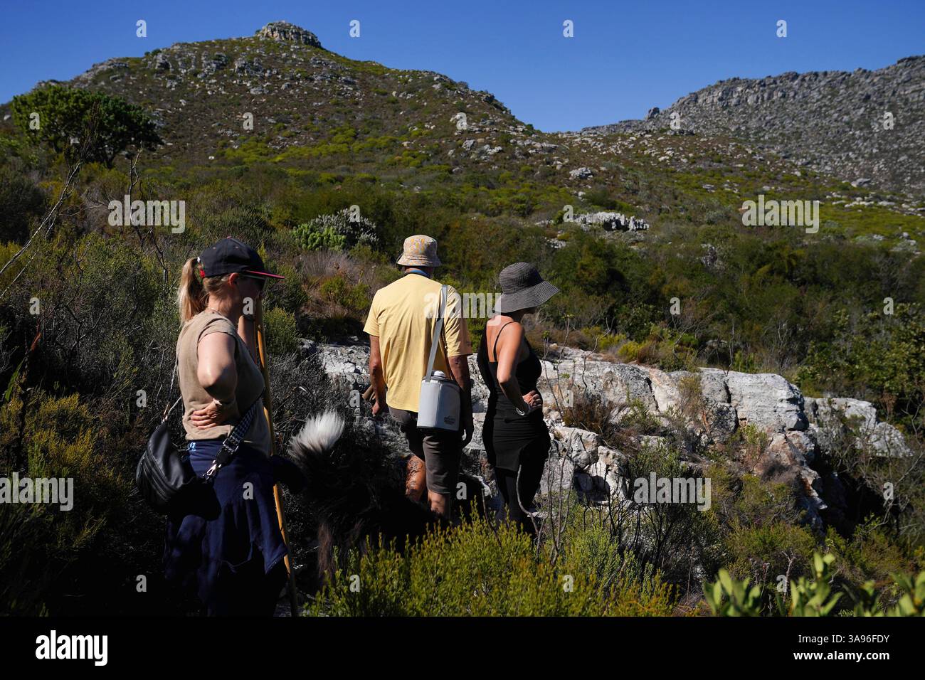 Wandern in Kapstadt, Südafrika am 29. März 2025 laufen die Menschen auf einem Wanderweg im Table Mountain National Park in Kapstadt, Südafrika. Wandern in Kapstadt ist eine beliebte und leicht zugängliche Möglichkeit, um die außergewöhnliche natürliche Schönheit der Stadt mit Panoramablick, vielfältigen Landschaften und einzigartiger Artenvielfalt zu erleben. Eingebettet zwischen Bergen und Meer, führen Wanderwege von Kapstadt durch eine Vielzahl von Umgebungen, von Küstenpfaden und Wäldern bis hin zu zerklüftetem Berggelände. Die Region ist Teil der floristischen Region Kap, die zum UNESCO-Weltkulturerbe gehört und für ihre unglaublich reiche Pflanzenwelt bekannt ist Stockfoto