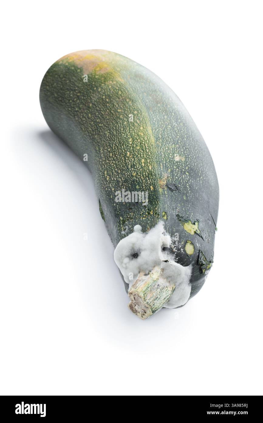 Verdorbene Zucchini auf weißem Hintergrund Stockfoto Verdorbene Zucchini auf weißem Hintergrund Stockfoto