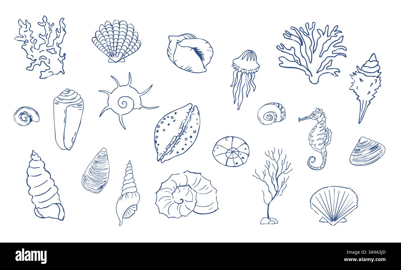 Muschelskizze Ozean Leben Hand gezeichnete Illustration. Skizzieren Sie Elemente des modernen Stils, des Sommers, des Urlaubs, des Stranddesigns. Korallen und Algen, Seesterne. . Vektorabbildung Stock Vektor