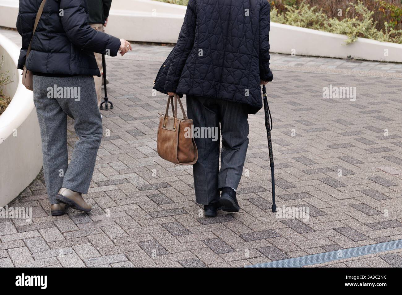 Ältere Gesellschaft. Gesunde Senioren gehen mit Wanderstock Outdoor Straßenmantel Kleidung in der Wintersaison Tokio japan Stockfoto