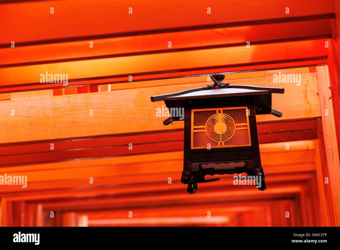 Red Tori Walkway Fushimi Inari Schrein, traditionelles japanisches Tor berühmtester Reiseort in Kyoto, Japan Stockfoto