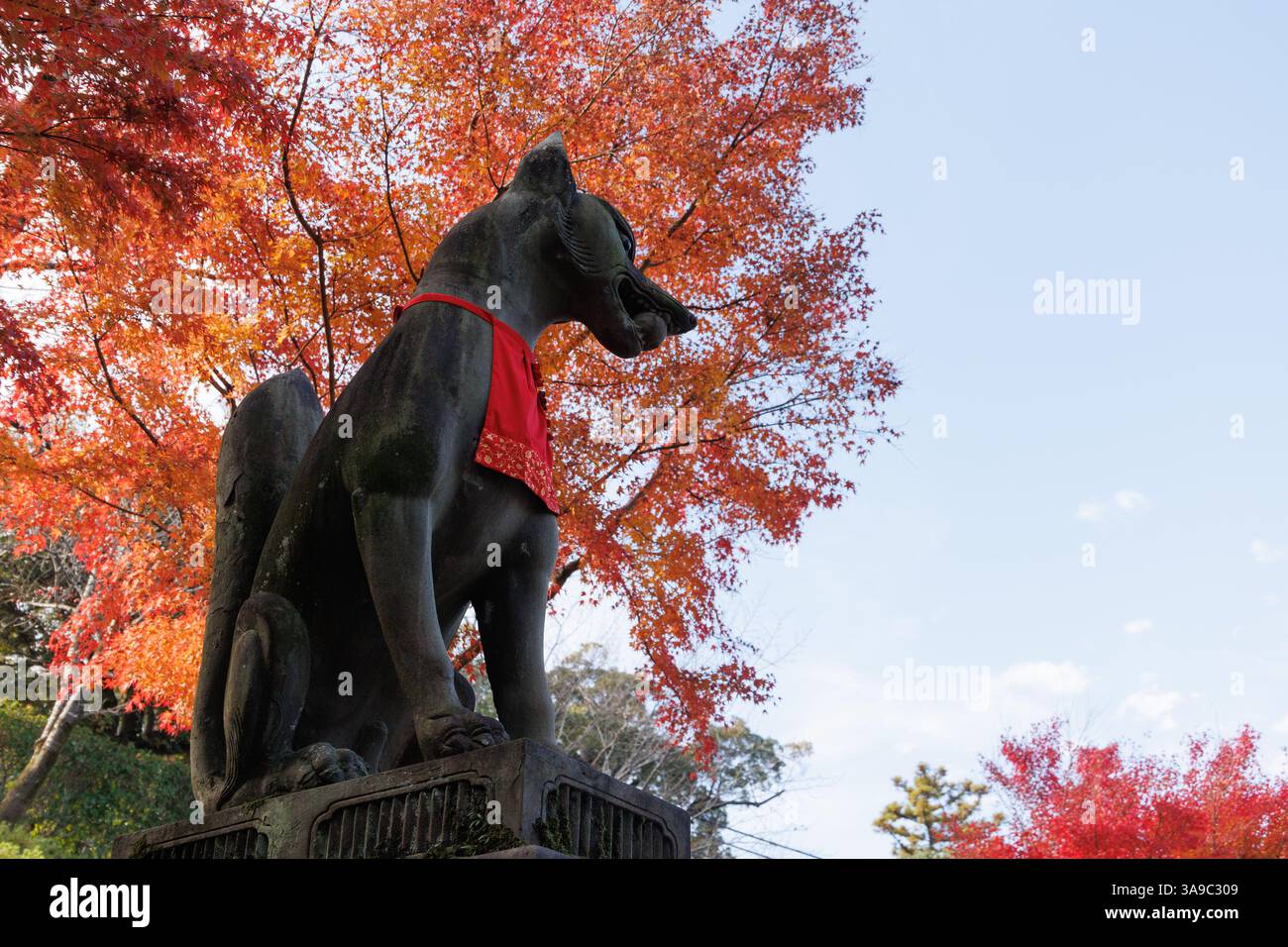 Inari Okami oder Fox-Götterstatue im Fushimi Inari Taisha Schrein in Kyoto, Japan, Reiseziel beliebter Ort mit rotem Torii-Tor und Fuchs Inari Jinja s Stockfoto
