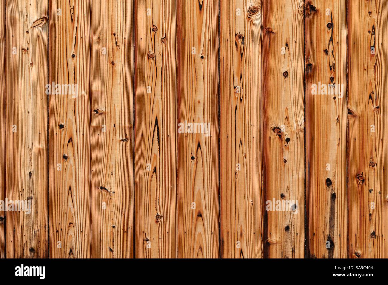 Shou sugi Ban, japanischer traditioneller Stil verbrannte schwarze Holzpaneel Wandstruktur Muster für Werbungshintergrund in japan Stockfoto