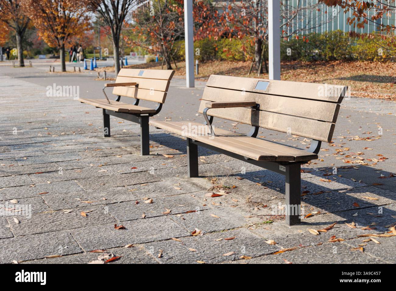 Bank im öffentlichen Park, öffentlicher Bereich im Freien Ruhebereich Leere lange Holzstuhlbänke zum Entspannen im Garten Stockfoto