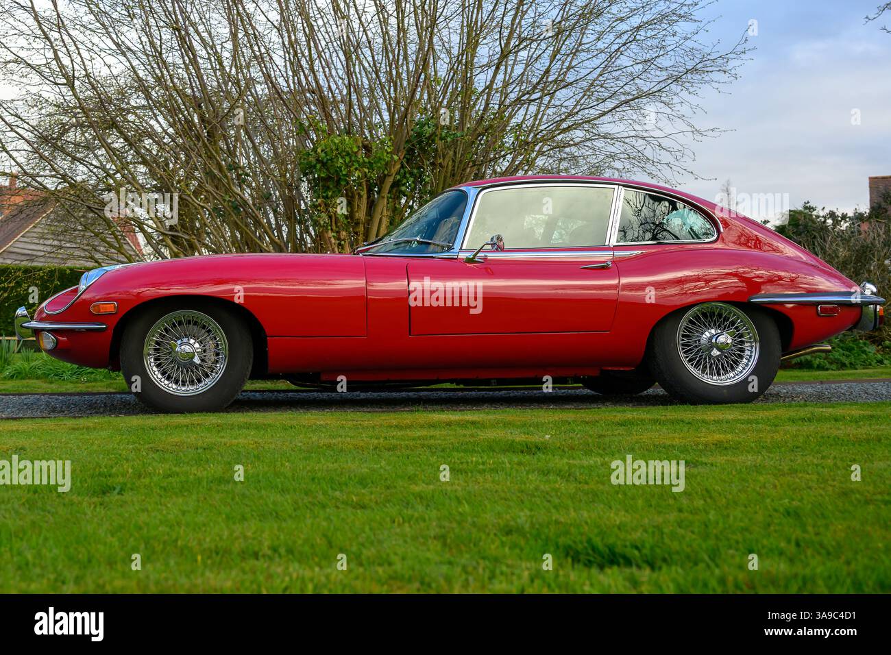 Seitenansicht eines klassischen roten Jaguar E-Type, der auf Gras geparkt ist – ein legendärer Oldtimer, der für Eleganz, Leistung und zeitloses Design berühmt ist Stockfoto