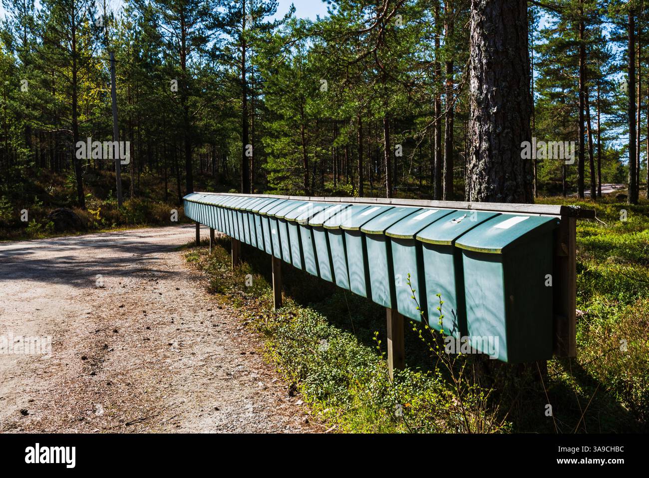 Eine Reihe grüner Briefkästen befindet sich neben einem Schotterweg in Schweden, eingebettet zwischen hohen Bäumen und Grün. Eine ruhige Atmosphäre fängt das Wesen von q ein Stockfoto