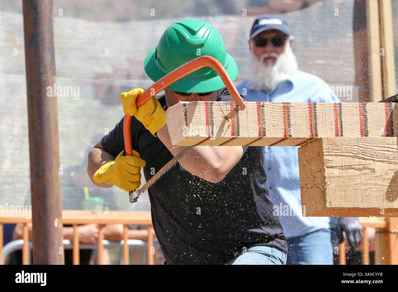 Superior, USA. März 2025. Die Teilnehmer treten beim Handsägen Teil des Mining Competition während des jährlichen Apache Leap Mining Festivals und Karnevals 36 an, wie hier am zweiten Tag am 29. März 2025 in Superior, Arizona USA, zu sehen ist. Das Apache Leap Mining Festival und Karneval findet an drei Tagen statt und umfasst eine Vielzahl von Aktivitäten, von einem Bergbauwettbewerb über eine Parade, Live-Unterhaltung bis hin zu einem Karneval. (Foto: Alexandra Buxbaum Credit: SIPA USA/Alamy Live News Stockfoto