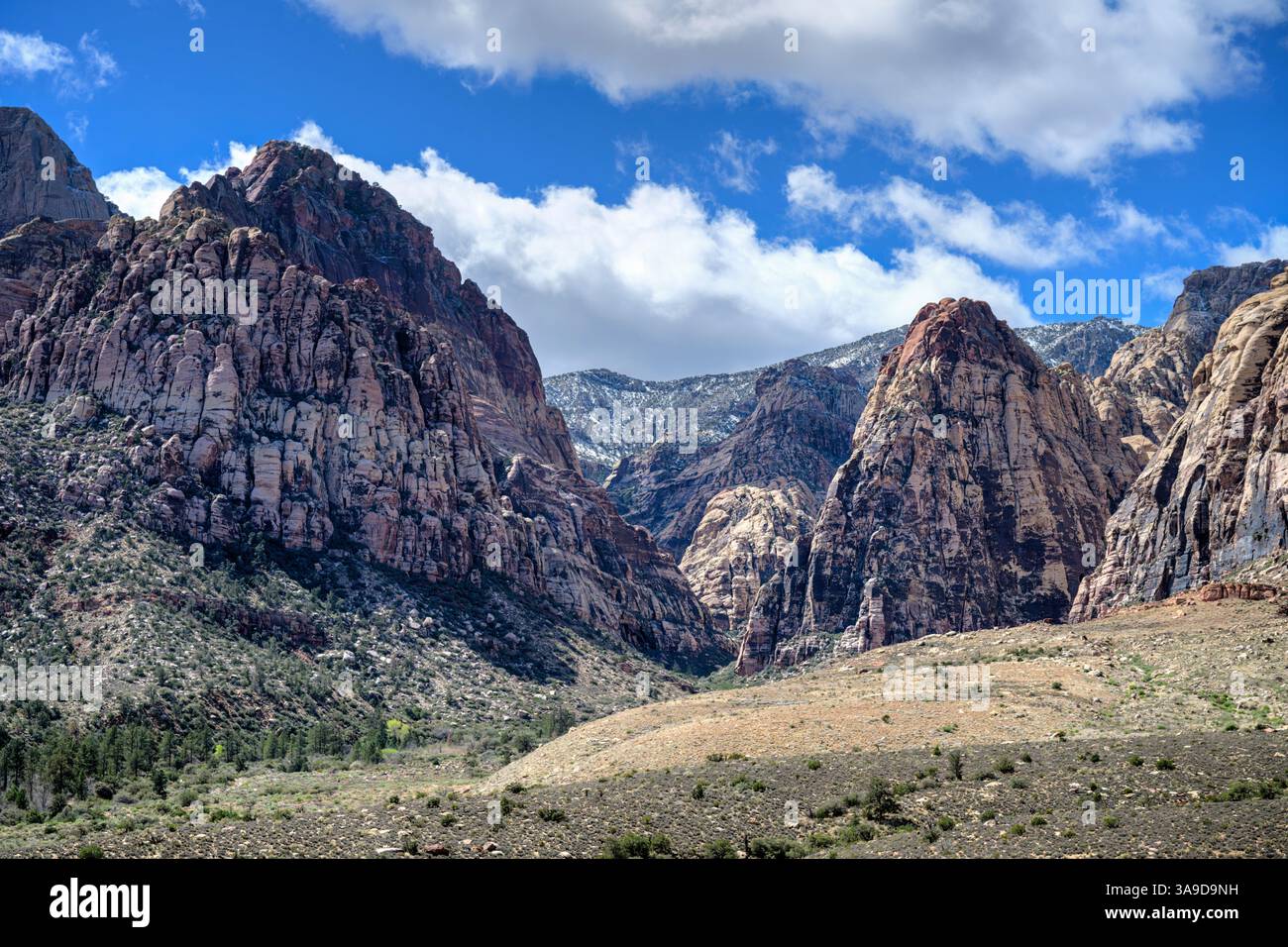 Felsige Landschaft der Red Rock Canyon National Conservation Area, Nevada, USA Stockfoto