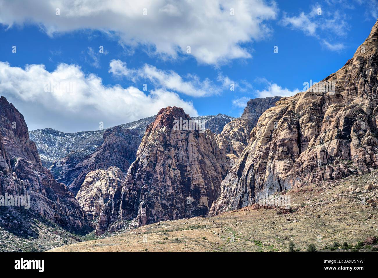 Felsige Landschaft der Red Rock Canyon National Conservation Area, Nevada, USA Stockfoto