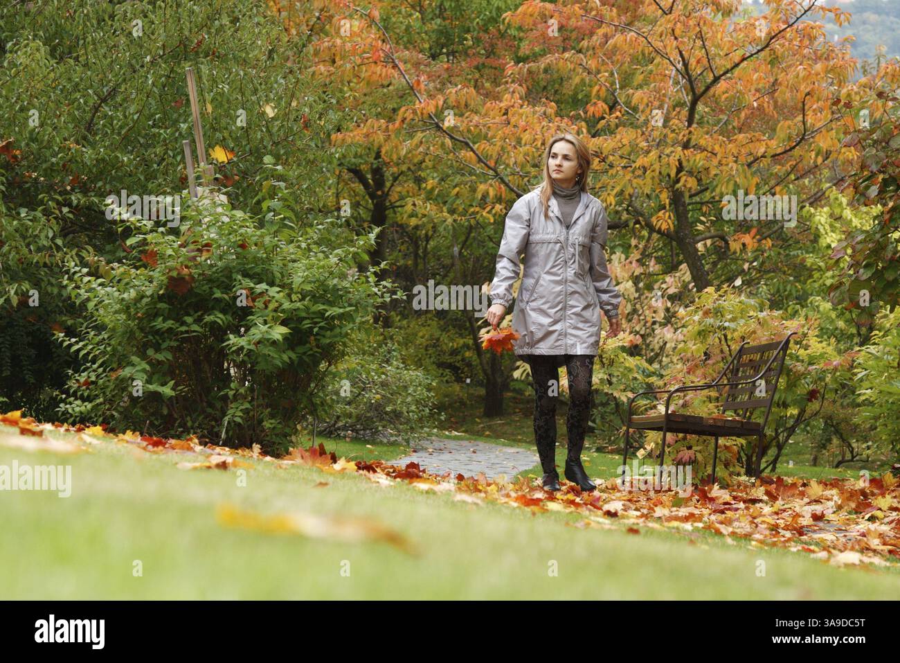 Das schöne Mädchen geht in den Lane Herbstpark Stockfoto