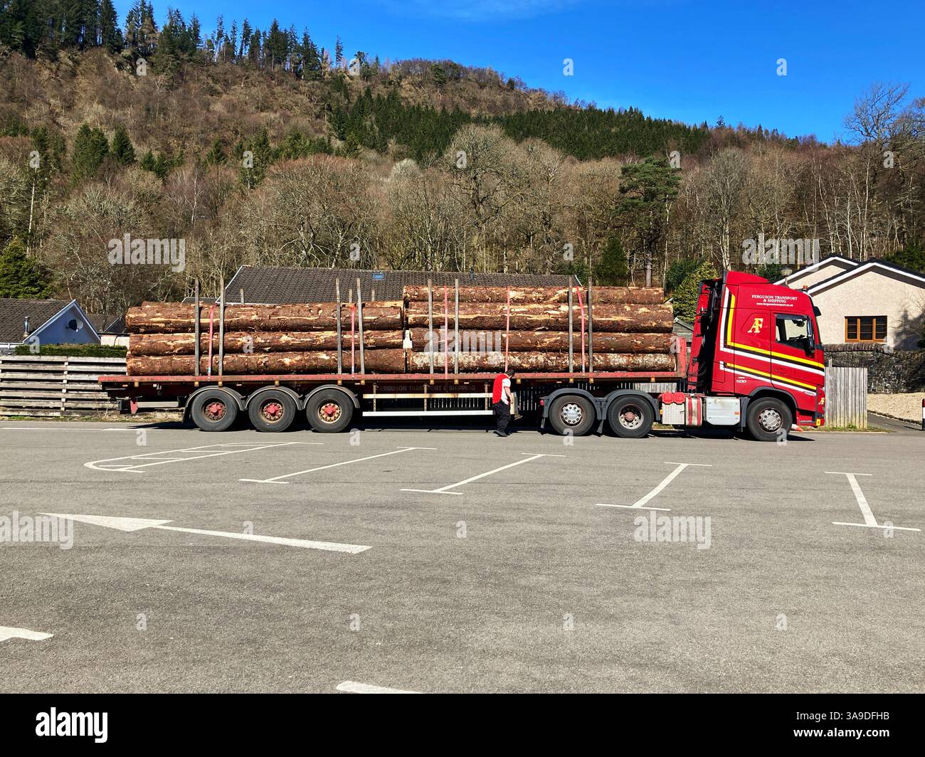 LKW mit Ladung von geernteten Stämmen Schottland - Smartphone-aufgenommenes Stockfoto