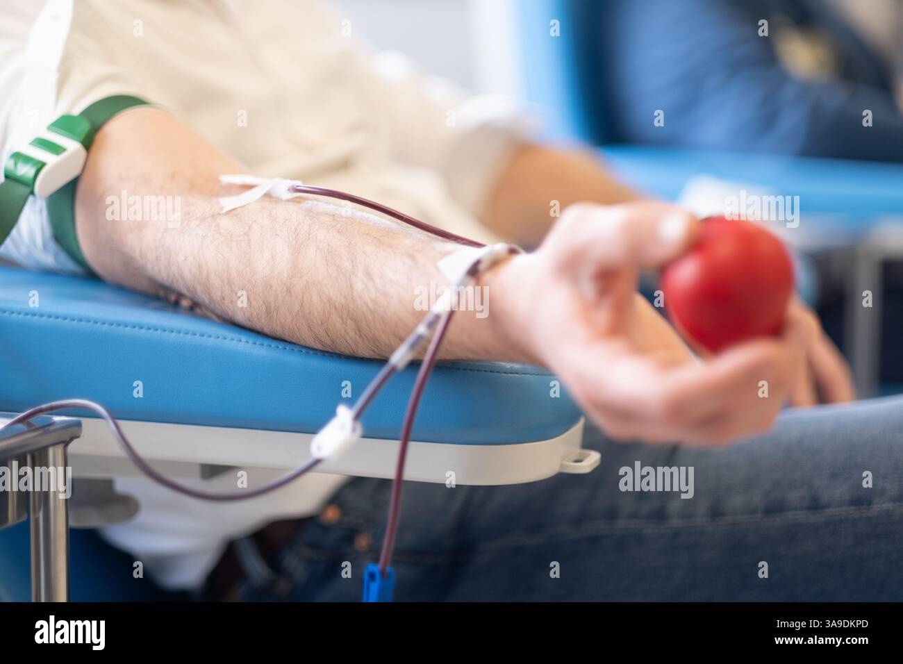 Detail der Hand eines freiwilligen Spenders, der einen Gummiball zusammendrückt, um den Blutkatheter zu verbessern. Es ist eine Blutspendebank und eine freiwillige Organisation Stockfoto