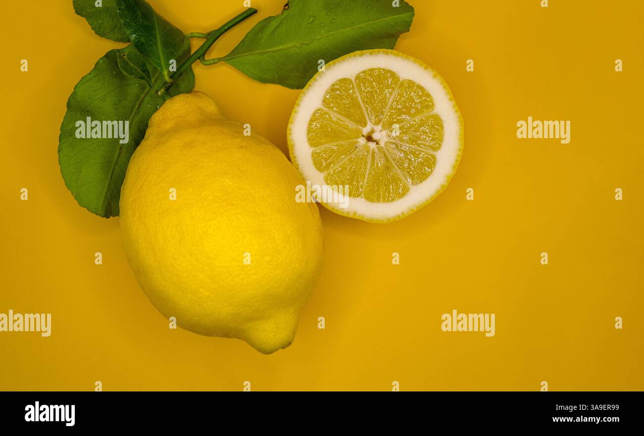 Frische Zitronen mit grünen Blättern auf einem leuchtend gelben Hintergrund. Stockfoto