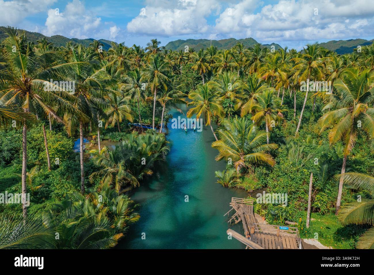 Malerische Bootstour auf dem Maasin River in Siargao – Eine ruhige Reise durch üppiges, von Palmen gesäumtes Wasser mit der berühmten Bent Palm Tree und dem atemberaubenden tropischen S Stockfoto