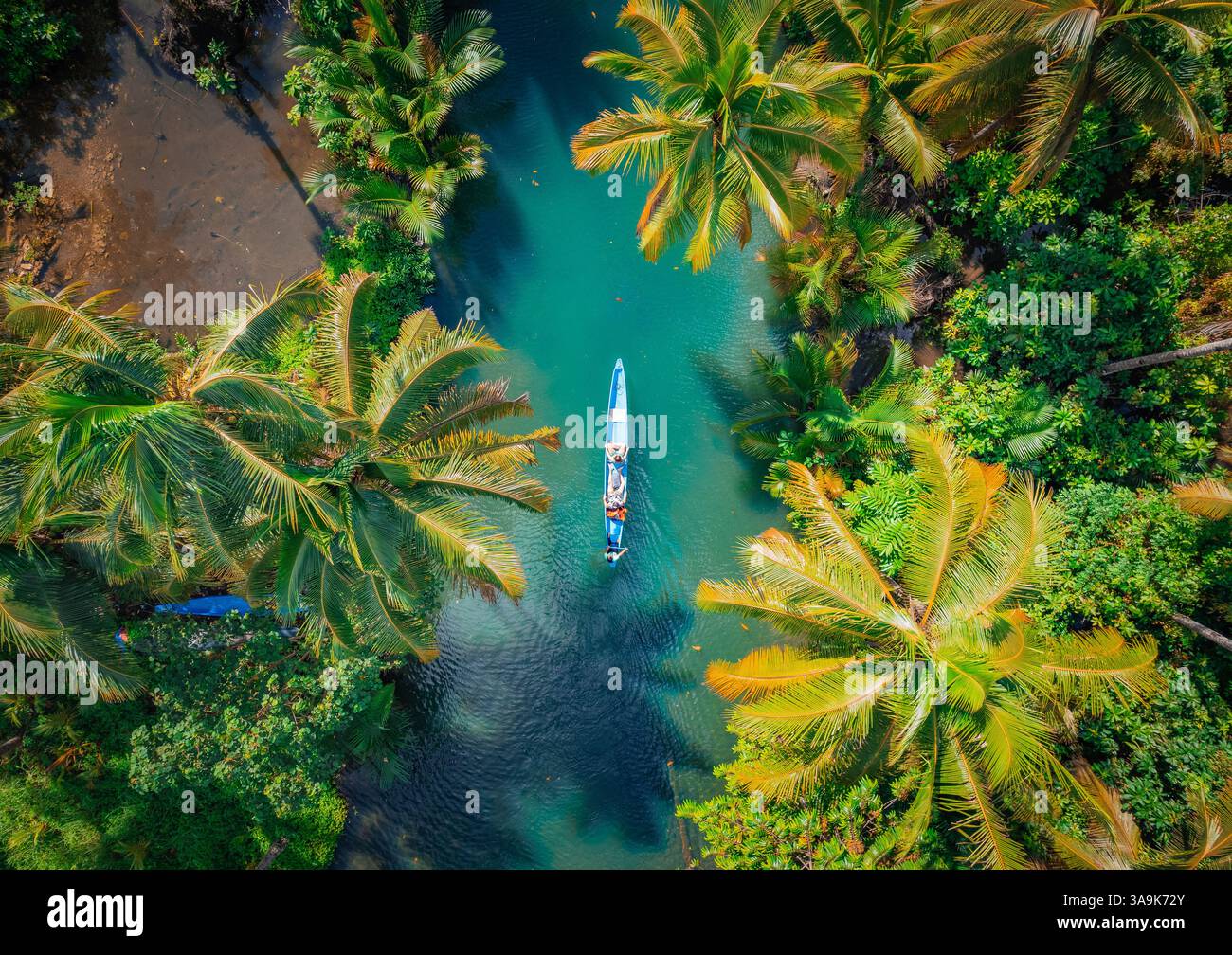 Malerische Bootstour auf dem Maasin River in Siargao – Eine ruhige Reise durch üppiges, von Palmen gesäumtes Wasser mit der berühmten Bent Palm Tree und dem atemberaubenden tropischen S Stockfoto