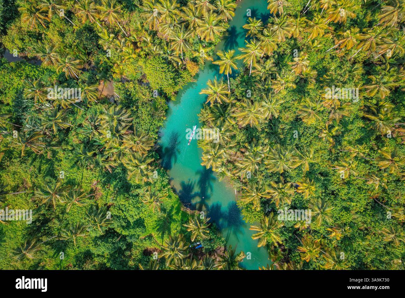 Malerische Bootstour auf dem Maasin River in Siargao – Eine ruhige Reise durch üppiges, von Palmen gesäumtes Wasser mit der berühmten Bent Palm Tree und dem atemberaubenden tropischen S Stockfoto