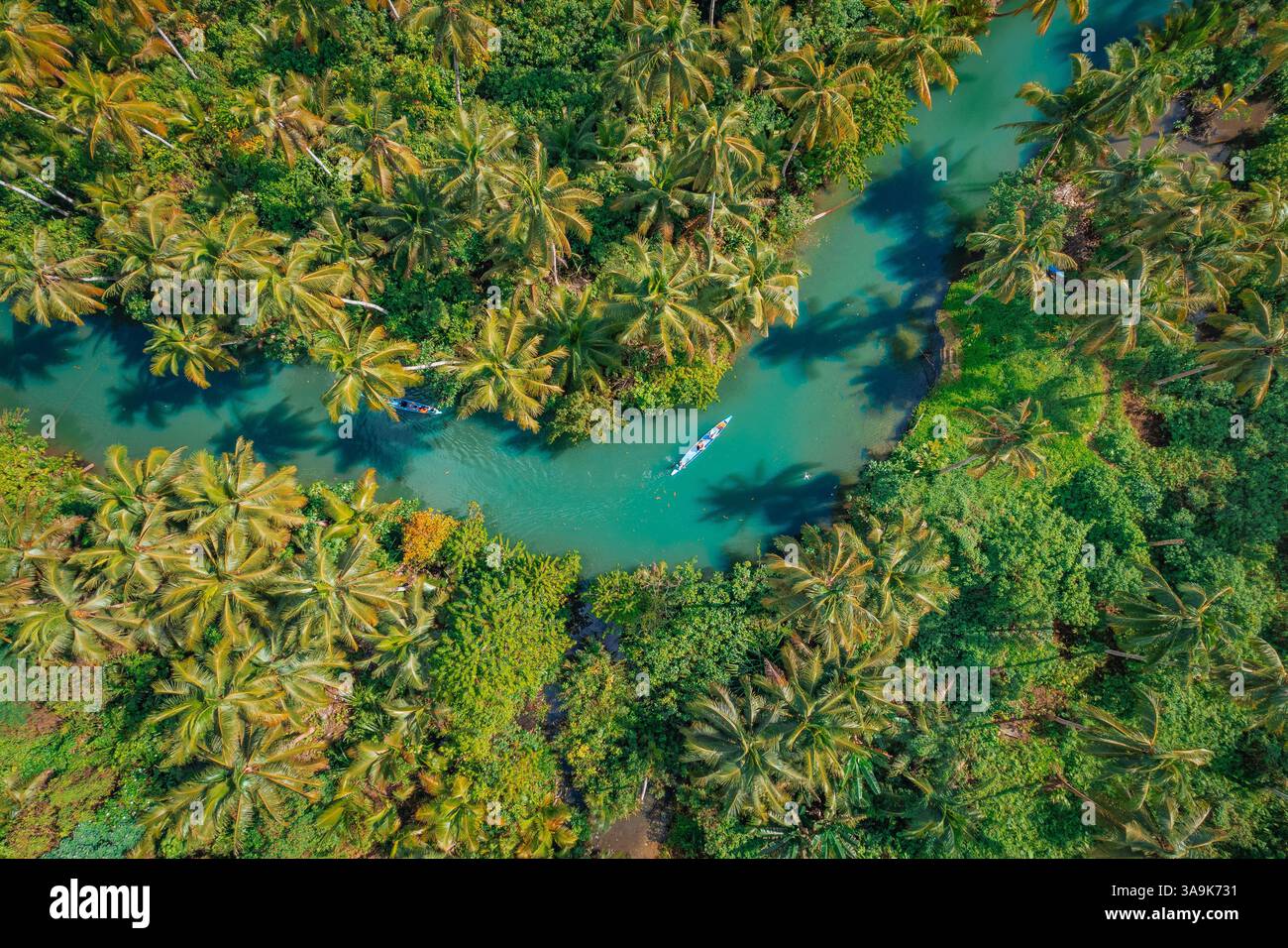 Malerische Bootstour auf dem Maasin River in Siargao – Eine ruhige Reise durch üppiges, von Palmen gesäumtes Wasser mit der berühmten Bent Palm Tree und dem atemberaubenden tropischen S Stockfoto