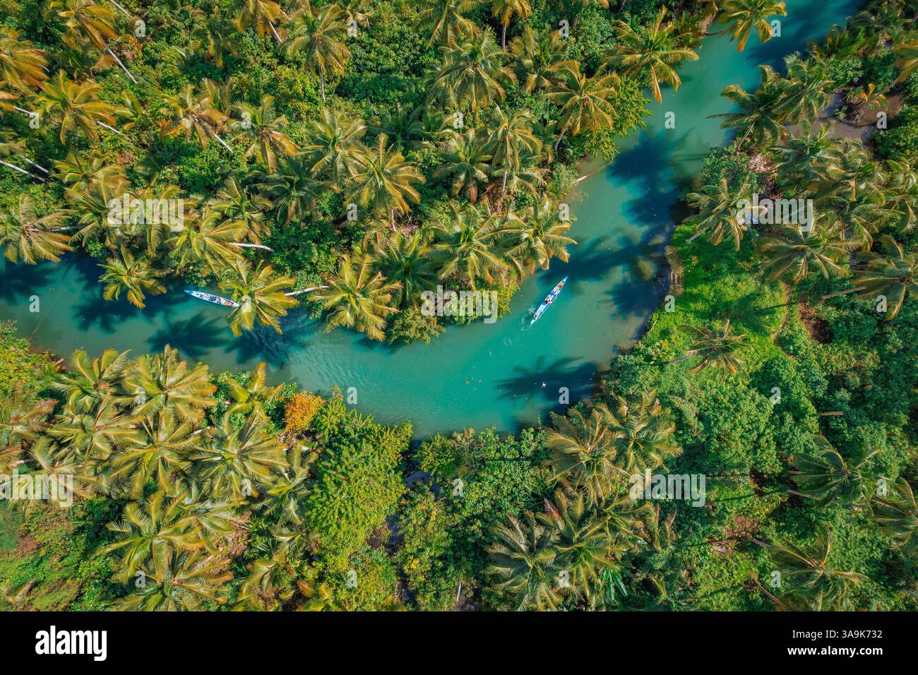 Malerische Bootstour auf dem Maasin River in Siargao – Eine ruhige Reise durch üppiges, von Palmen gesäumtes Wasser mit der berühmten Bent Palm Tree und dem atemberaubenden tropischen S Stockfoto